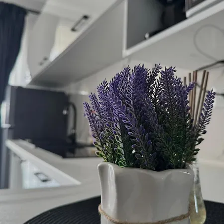 Nubia Sea View 3 * קוסטינסטי