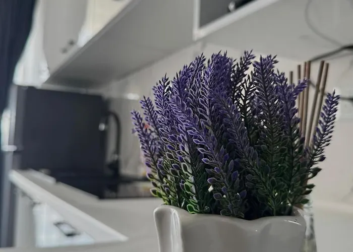 Nubia Sea View 3 * קוסטינסטי